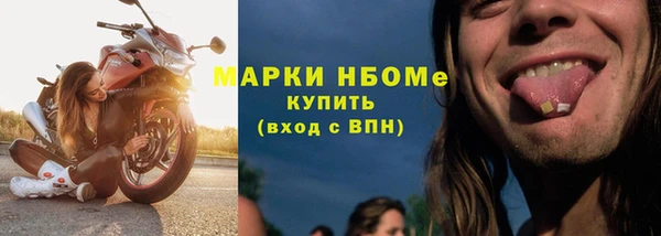 крисы Верхний Тагил