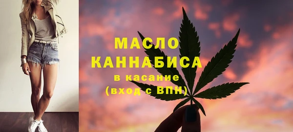 крисы Верхний Тагил