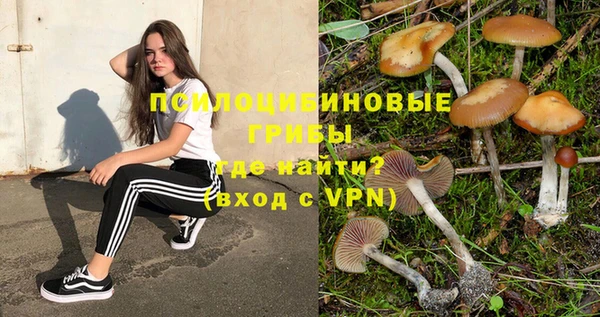 хмурый Волоколамск
