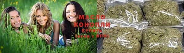 крисы Верхний Тагил