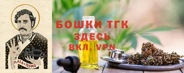 крисы Верхний Тагил