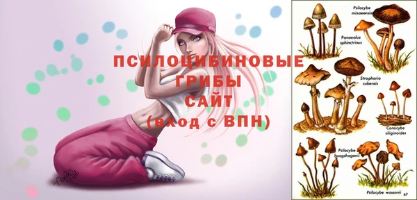 крисы Верхний Тагил